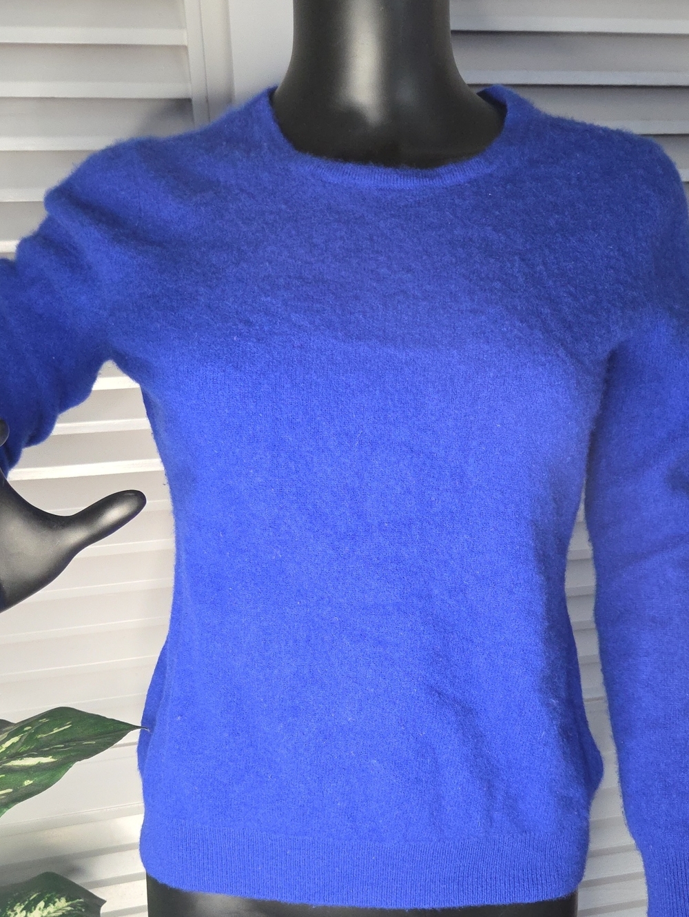 Charter Club Cobalt Blue Crewneck Sweater